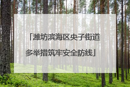 潍坊滨海区央子街道多举措筑牢安全防线
